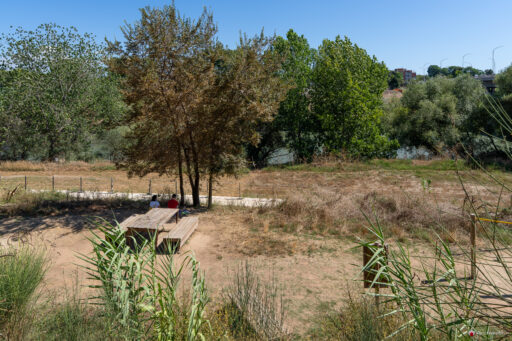 Parco Tevere Marconi fotografie paesaggio e attrezzature