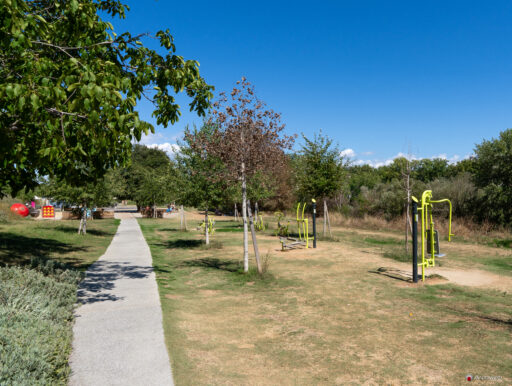 Parco Tevere Marconi fotografie paesaggio e attrezzature