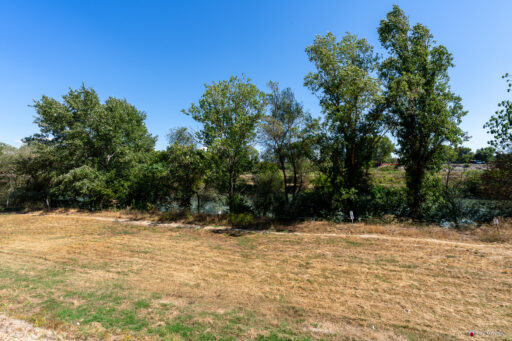 Parco Tevere Marconi fotografie paesaggio e attrezzature