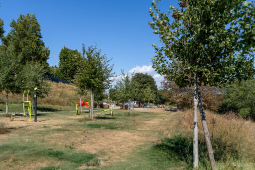 Parco Tevere Marconi fotografie paesaggio e attrezzature