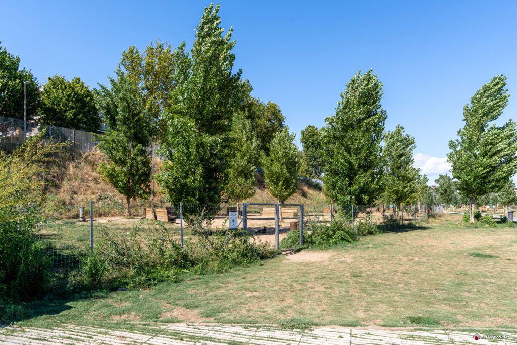Parco Tevere Marconi fotografie paesaggio e attrezzature