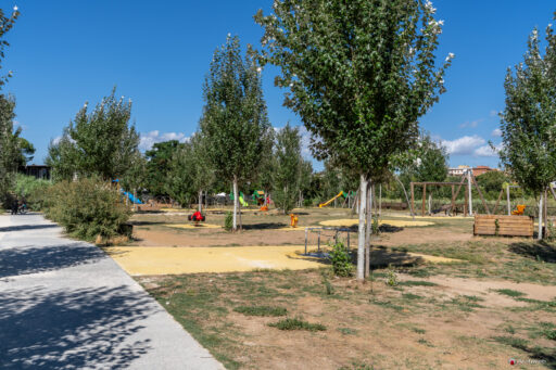 Parco Tevere Marconi fotografie paesaggio e attrezzature