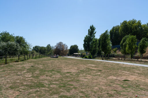 Parco Tevere Marconi fotografie paesaggio e attrezzature