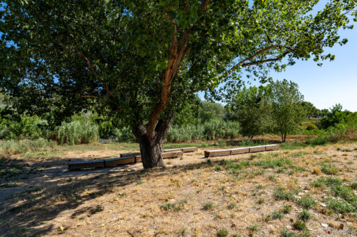 Parco Tevere Marconi fotografie paesaggio e attrezzature