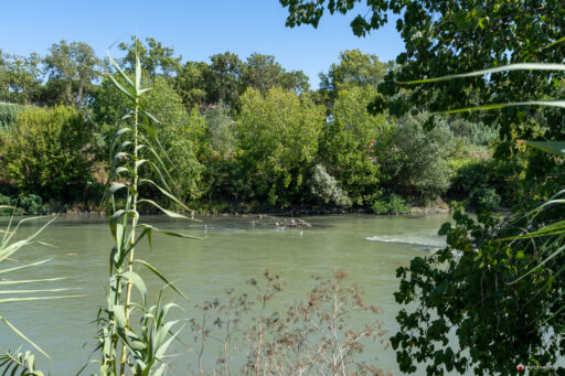 Parco Tevere Marconi fotografie paesaggio e attrezzature