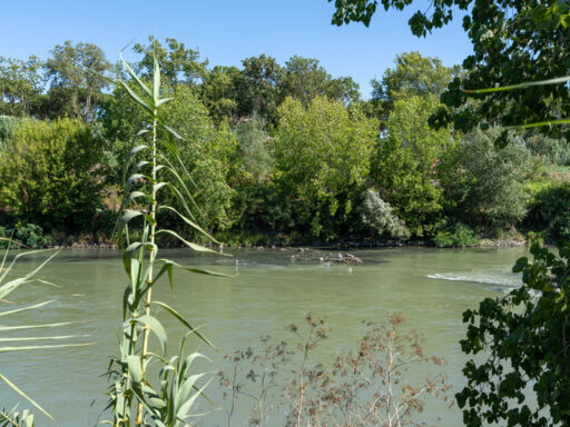 Parco Tevere Marconi fotografie paesaggio e attrezzature