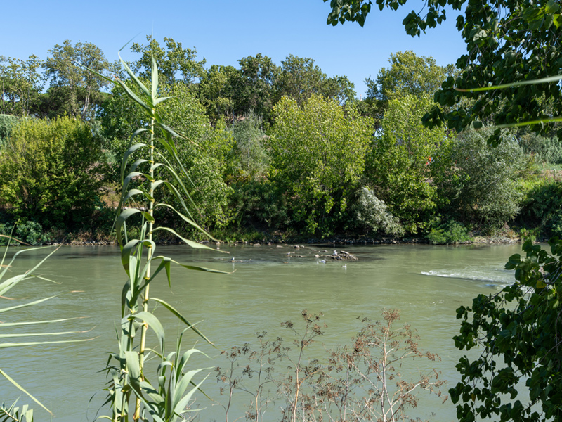 Parco Tevere Marconi fotografie paesaggio e attrezzature