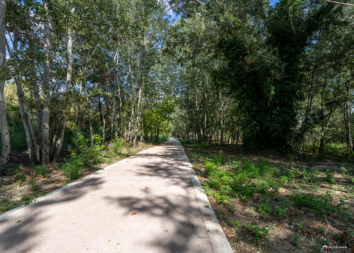Parco d'affaccio fluviale Oasi di Ponte Milvio. Fotografie Archweb.com