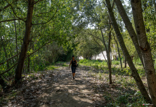 Parco d'affaccio fluviale Oasi di Ponte Milvio. Fotografie Archweb.com