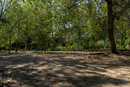 Parco d'affaccio fluviale Oasi di Ponte Milvio. Fotografie Archweb.com