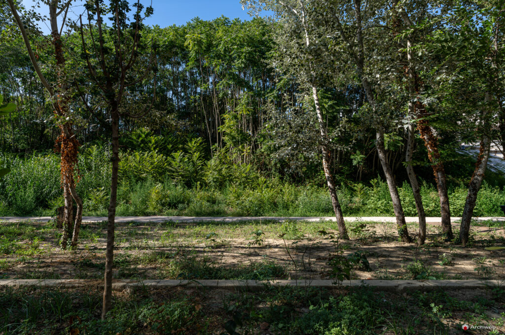 Parco d'affaccio fluviale Oasi di Ponte Milvio. Fotografie Archweb.com