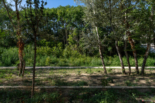 Parco d'affaccio fluviale Oasi di Ponte Milvio. Fotografie Archweb.com
