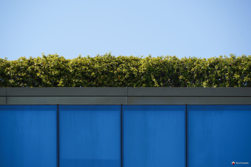 Microsoft Italia (Sede di Roma) Fotografie Archweb.com