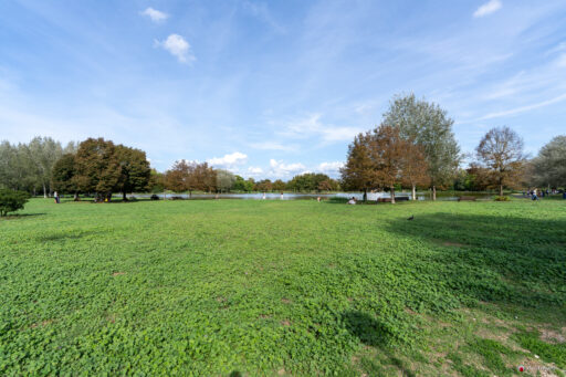 Parco di Tor di Quinto a Roma. Fotografie © M.S. Archweb.com