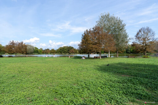 Parco di Tor di Quinto a Roma. Fotografie © M.S. Archweb.com