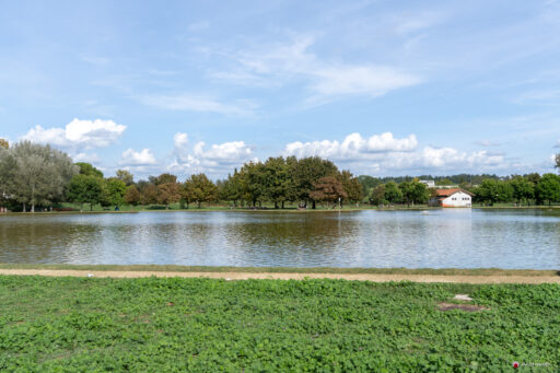 Parco di Tor di Quinto a Roma. Fotografie © M.S. Archweb.com