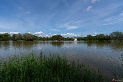 Parco di Tor di Quinto a Roma. Fotografie © M.S. Archweb.com