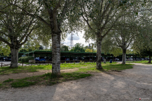 Parco di Tor di Quinto a Roma. Fotografie © M.S. Archweb.com
