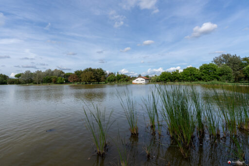 Parco di Tor di Quinto a Roma. Fotografie © M.S. Archweb.com