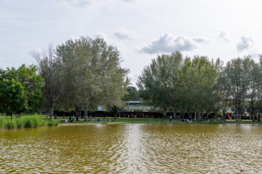 Parco di Tor di Quinto a Roma. Fotografie © M.S. Archweb.com