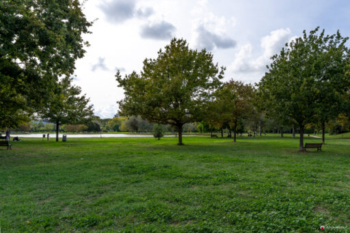 Parco di Tor di Quinto a Roma. Fotografie © M.S. Archweb.com