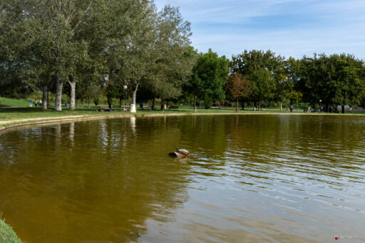 Parco di Tor di Quinto a Roma. Fotografie © M.S. Archweb.com