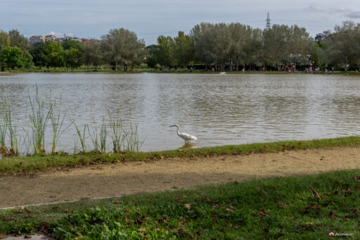Parco di Tor di Quinto a Roma. Fotografie © M.S. Archweb.com