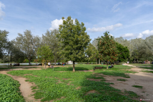 Parco di Tor di Quinto a Roma. Fotografie © M.S. Archweb.com