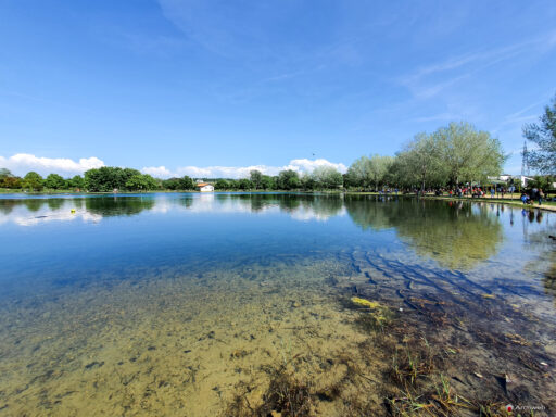 Parco di Tor di Quinto a Roma. Fotografie © M.S. Archweb.com
