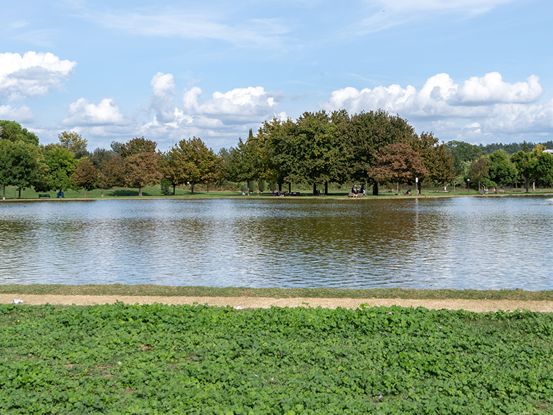 Parco di Tor di Quinto a Roma. Fotografie © M.S. Archweb.com