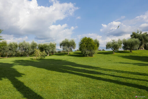 Le Terme di Roma – Acque Albule a Tivoli. Fotografie © Archweb.com