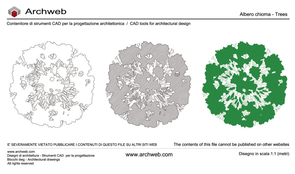 Chioma albero 02 dwg. L’immagine mostra lo stesso albero rappresentato in pianta tramite tre stili grafici differenti.
