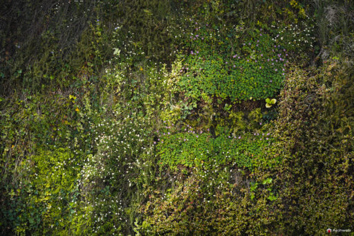 ENI S.p.A. – Energy Revolution all’EUR. Foto © Archweb.com