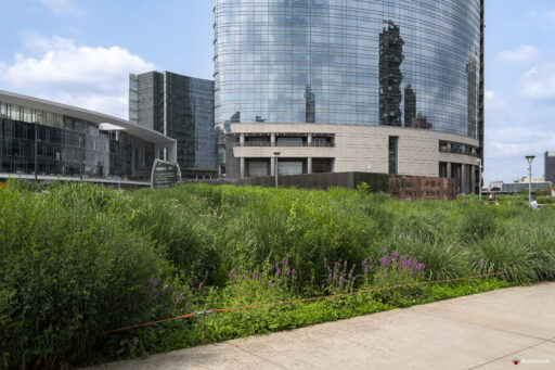 Biblioteca degli alberi a Milano Porta Nuova. Fotografie © Archweb.com