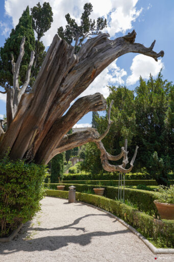 Villa d'Este a Tivoli. Fotografie © M.S. Archweb.com
