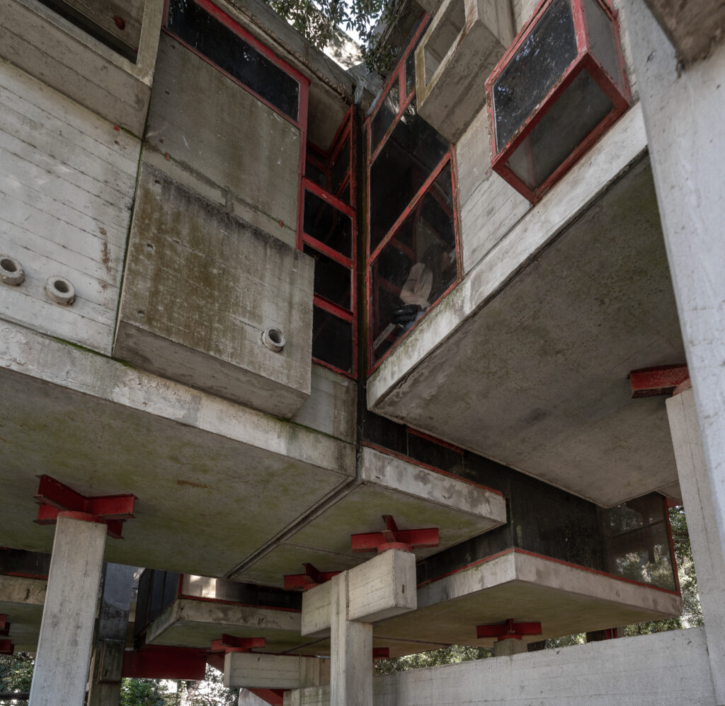 Casa Sperimentale Perugini (Casa Albero) - Foto © M.S. Archweb.com