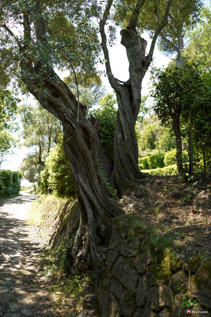 Villa Mazzanti a Roma, Fotografie della villa e del parco. Foto © Archweb.com
