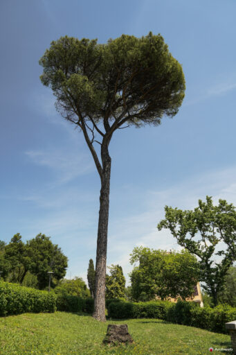 Villa Mazzanti a Roma, Fotografie della villa e del parco. Foto © Archweb.com