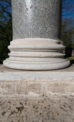 Dettaglio della base di una delle colonne del prospetto del Tempio di Antonino e Faustina all'interno di Villa Borghese