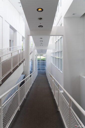 Museum Angewandte Kunst (MAK) di Francoforte progettato da Richard Meier - Fotografie © Archweb.com