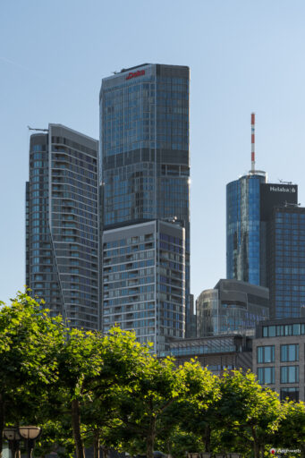 Il centro finanziario di Francoforte visto dalla sponda sud del fiume Meno - Fotografie © Archweb.com