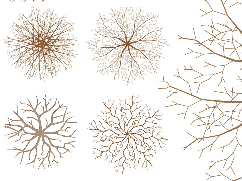 Alberi spogli dwg
