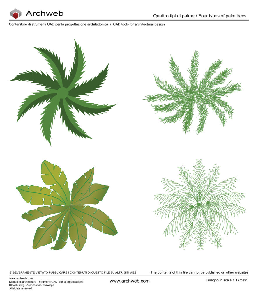 Palme pianta dwg 11