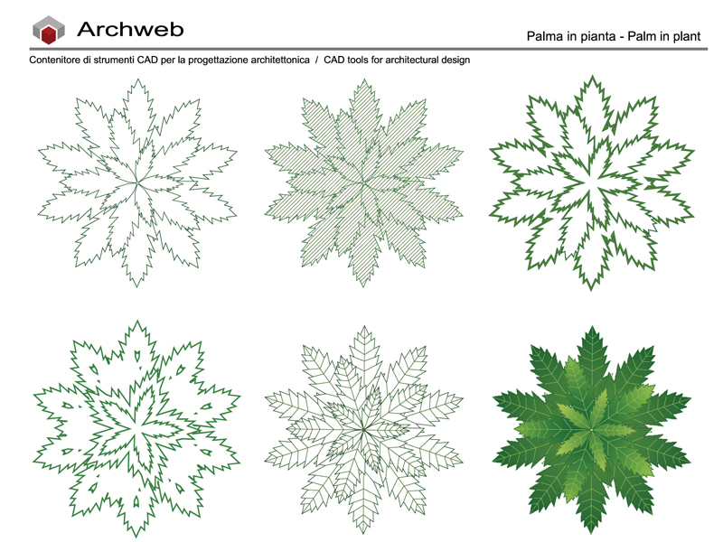Palma archweb dwg 01